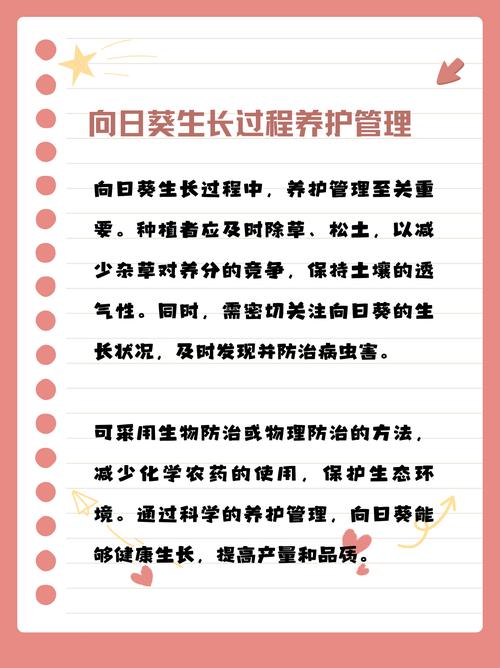 太阳花籽什么时候播种，太阳花子几月播种？-第5张图片-优品飞百科