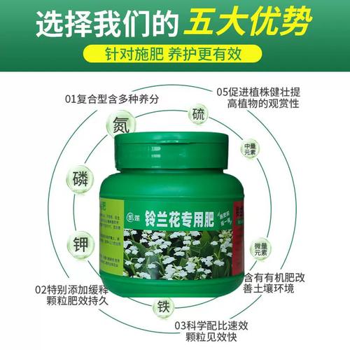 铃兰怎么施肥，铃兰怎么施肥比较好？-第2张图片-优品飞百科