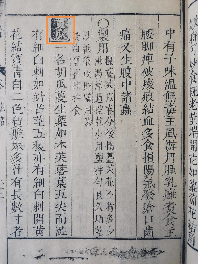 六角莲怎么养，六角莲的作用-第3张图片-优品飞百科