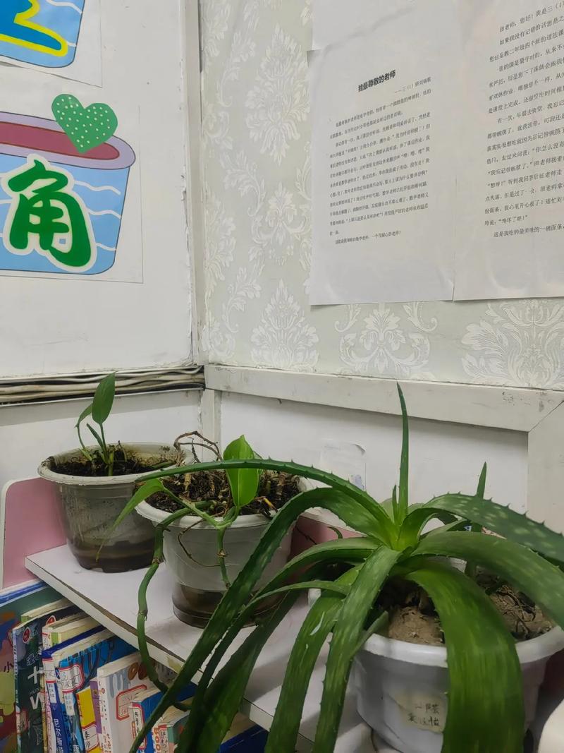 盆栽绿萝枝多久长新叶，绿萝多久才能长出新的枝条-第3张图片-优品飞百科
