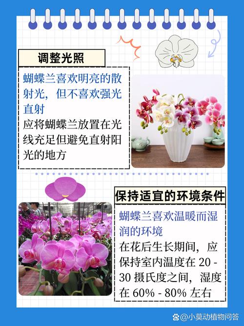 蝴蝶兰开完花怎么办，蝴蝶兰开完花之后怎么处理？
