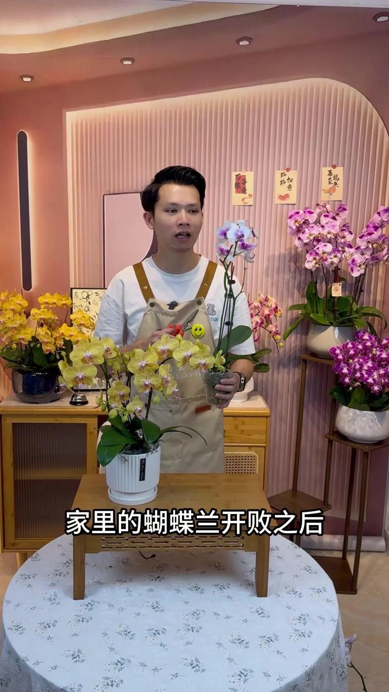 蝴蝶兰开完花怎么办，蝴蝶兰开完花之后怎么处理？-第5张图片-优品飞百科