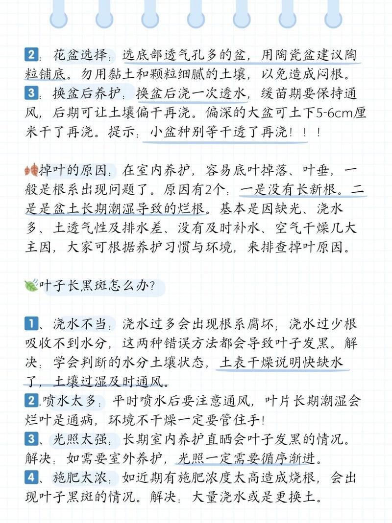 橡皮树的繁殖方法？橡皮树的繁殖方法是什么?？-第6张图片-优品飞百科