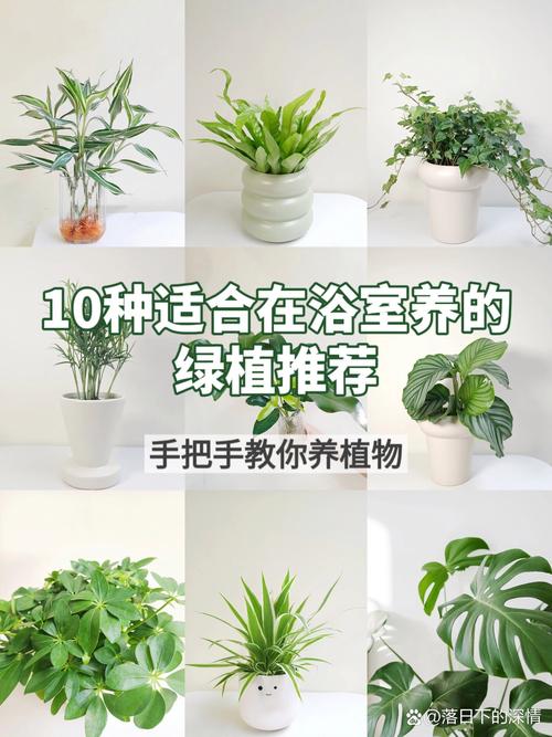 老人须怎么养，老人须养护-第4张图片-优品飞百科