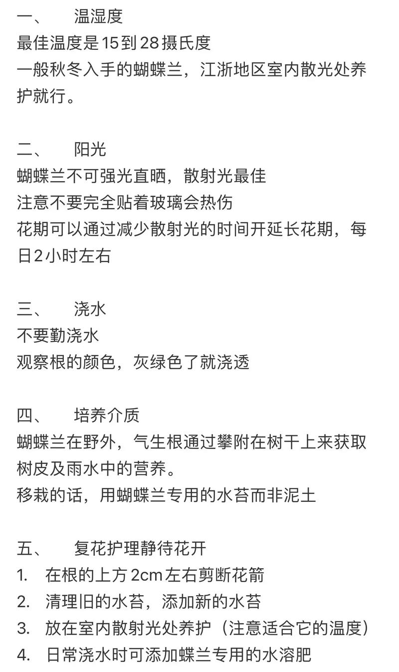 蝴蝶兰开花后怎么养？蝴蝶兰开花后怎么养护和管理？
