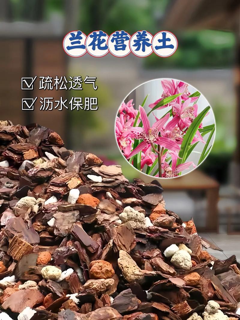 给兰花换盆是用什么土，给兰花换盆是用什么土比较好？-第3张图片-优品飞百科