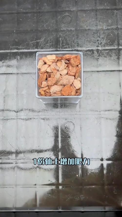 给兰花换盆是用什么土，给兰花换盆是用什么土比较好？-第5张图片-优品飞百科