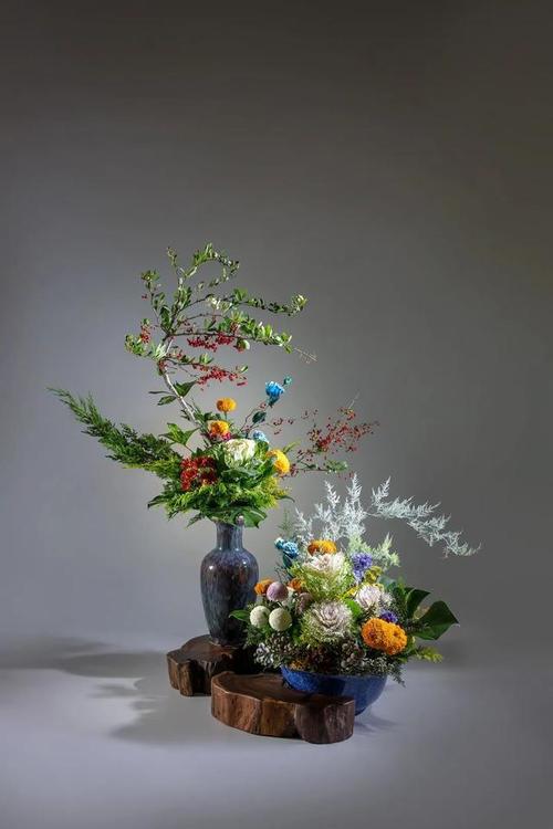 红花银桦冬天能开吗，红花银桦冬天能开吗？
