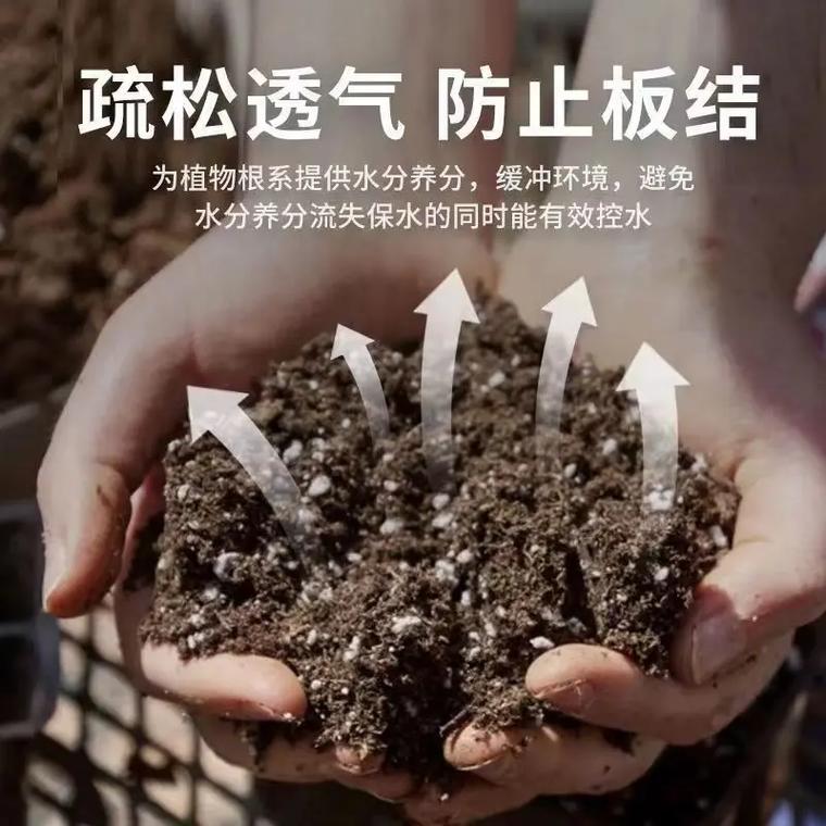 种植君子兰用什么土好？栽培君子兰用什么土？