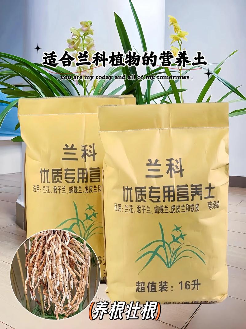 种植君子兰用什么土好？栽培君子兰用什么土？-第2张图片-优品飞百科