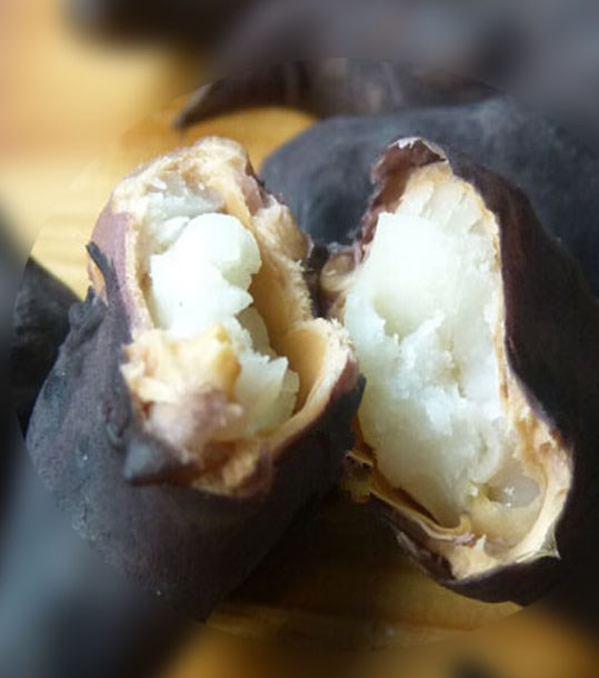 牛角菱怎么种植，牛角菱怎么种植视频？-第7张图片-优品飞百科
