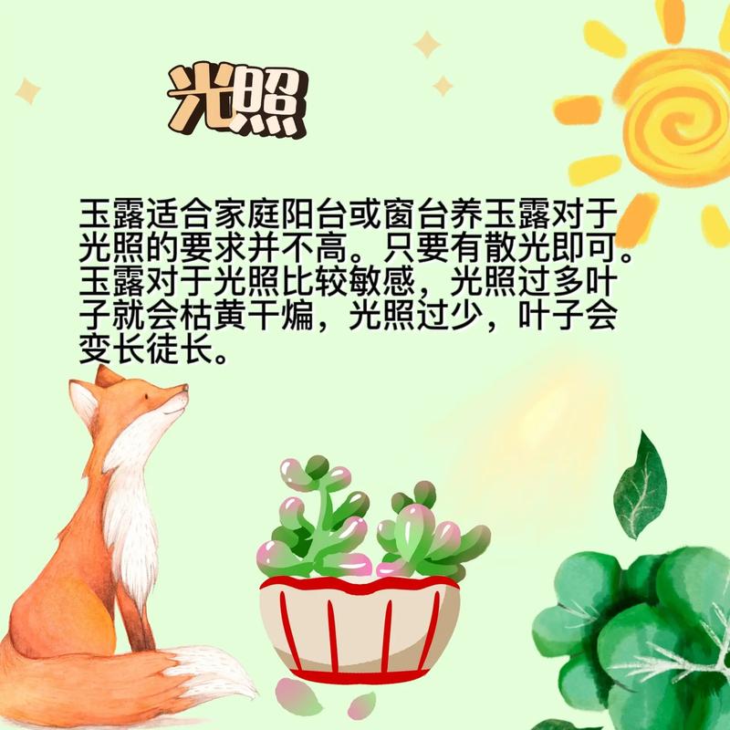 帝玉露怎么养，帝玉露锦-第4张图片-优品飞百科