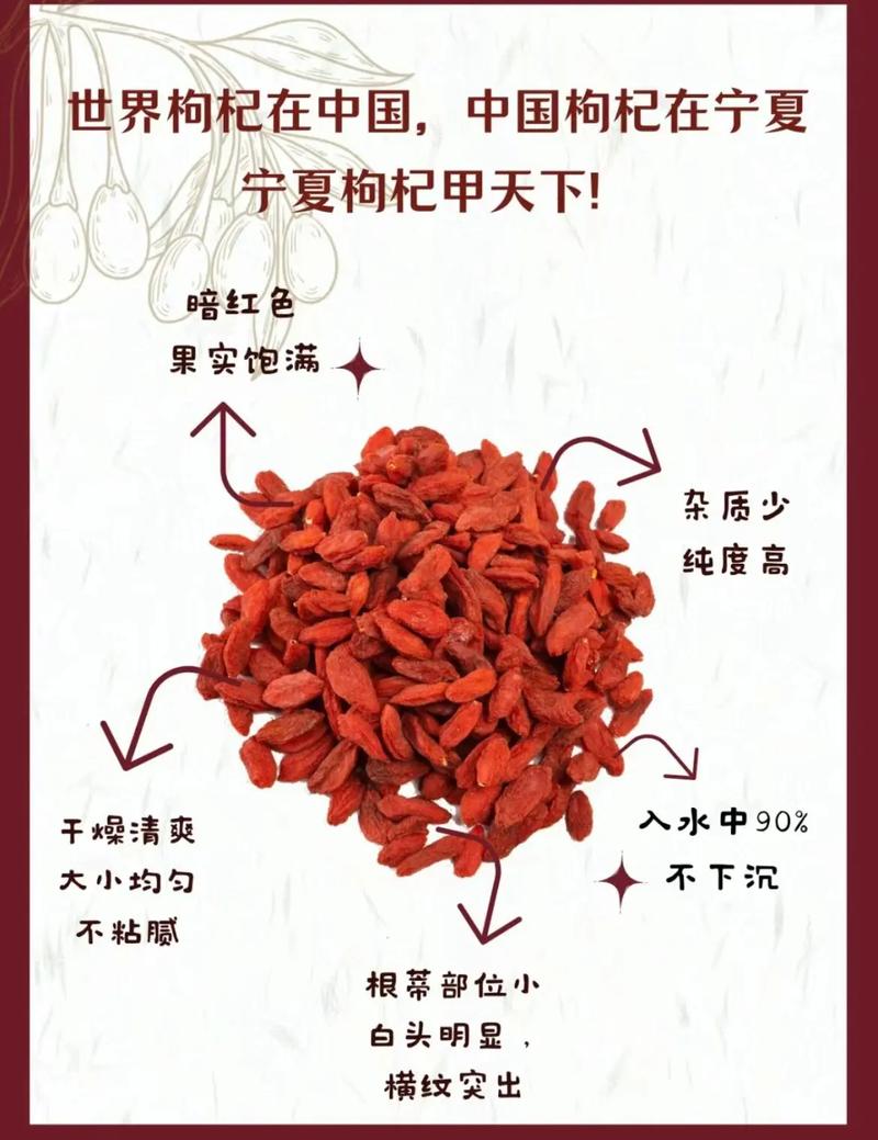 枸杞是补什么的？枸杞是补什么的?常喝有什么好处吗?？-第2张图片-优品飞百科