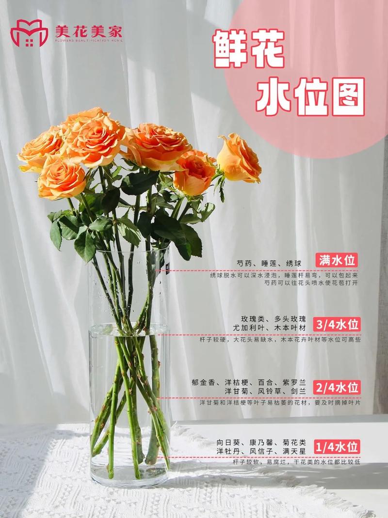 玫瑰花几天浇一次水？玫瑰花几天浇一次水最合适呢？-第4张图片-优品飞百科