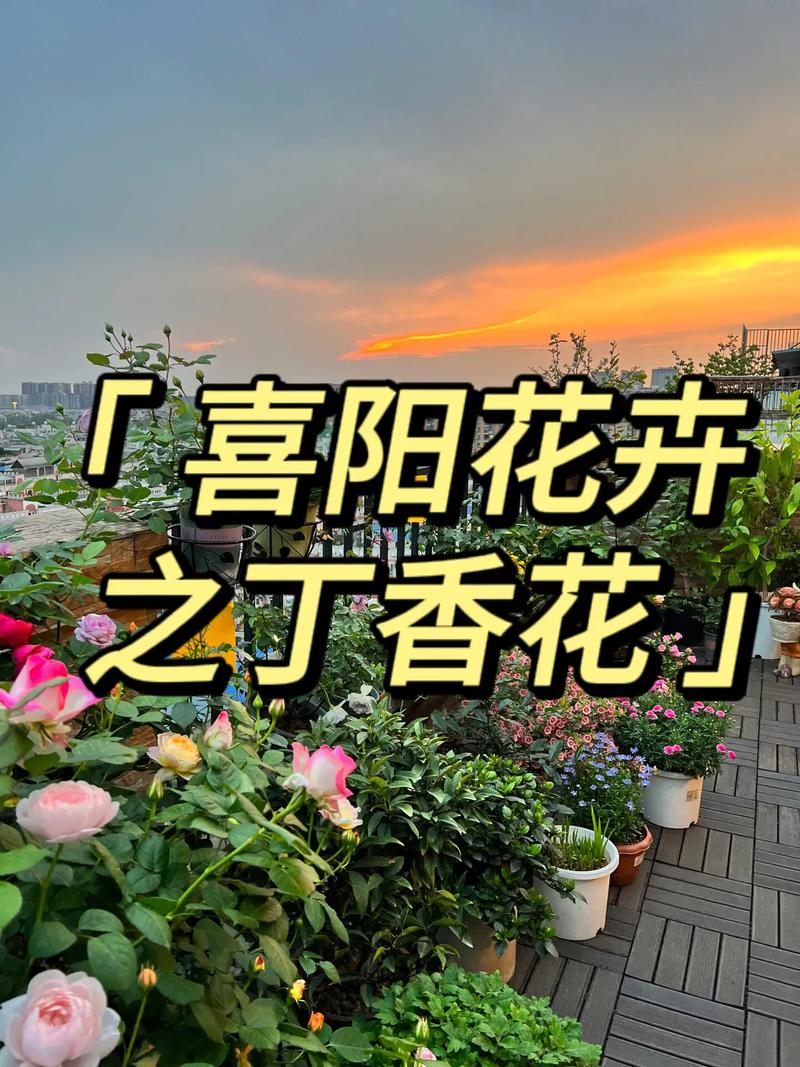 刚买的丁香花怎么换盆？丁香换盆以后的养护方法？-第6张图片-优品飞百科