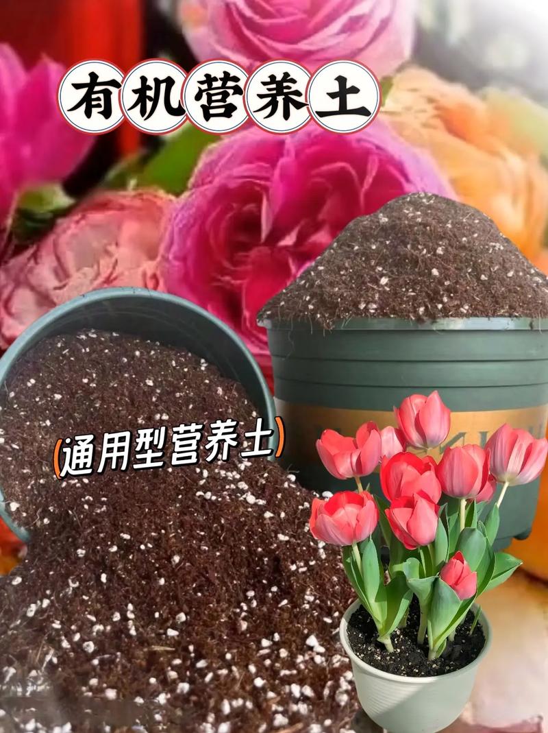 养花就选这种土，养花就选这种土壤好吗-第2张图片-优品飞百科