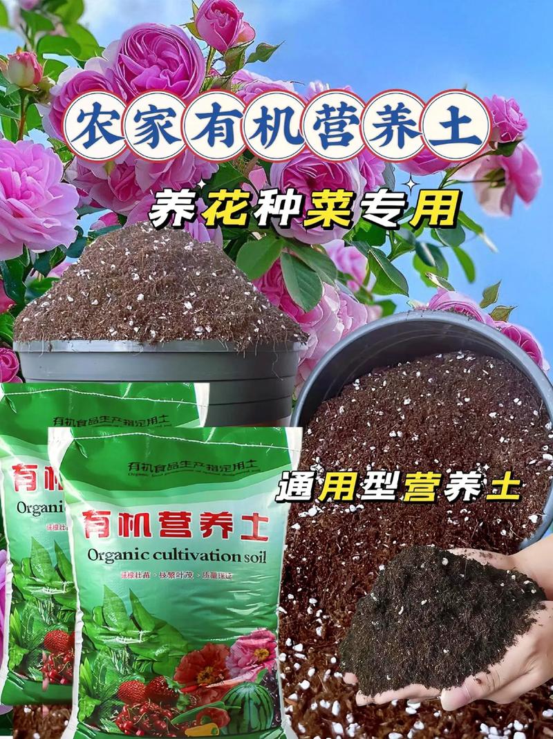 养花就选这种土，养花就选这种土壤好吗-第5张图片-优品飞百科