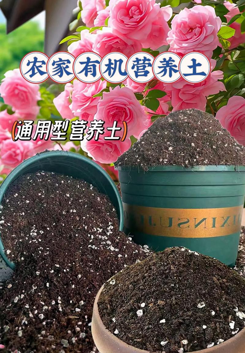 养花就选这种土，养花就选这种土壤好吗-第8张图片-优品飞百科