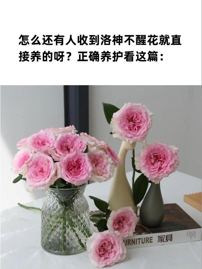 洛神花秋天怎么养，洛神花栽培技术-第6张图片-优品飞百科