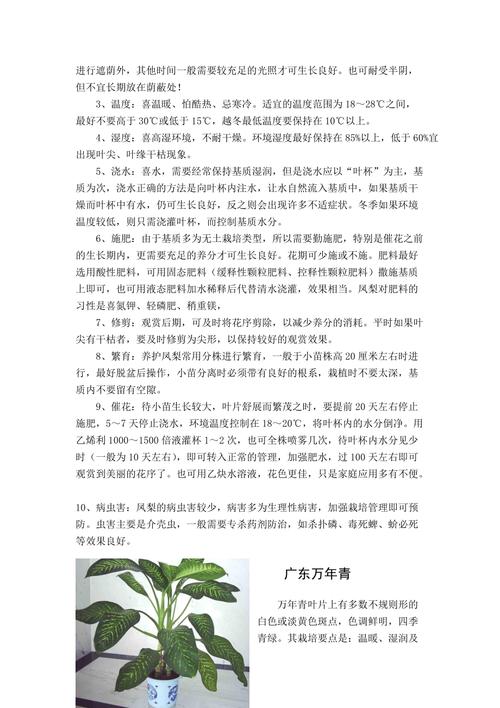 家庭室内植物怎么养，家庭室内植物有哪几种