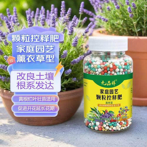 薰衣草盆栽怎么施肥，薰衣草 盆栽？-第4张图片-优品飞百科