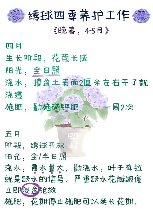 绣球花水养注意事项，绣球花水养的修剪方法图解？-第3张图片-优品飞百科