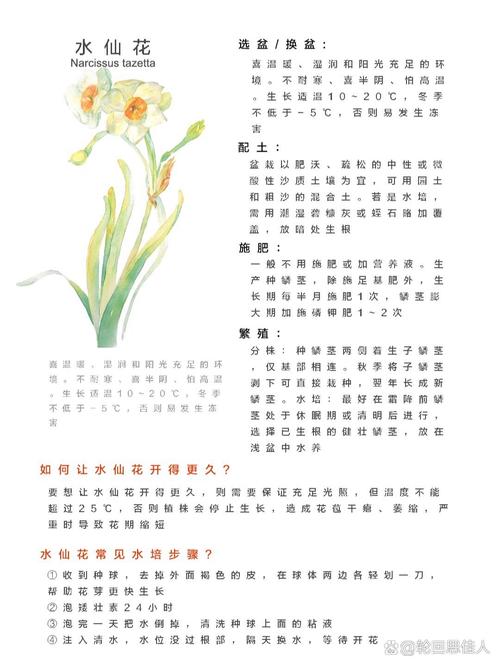 洋水仙怎么施肥和浇水？洋水仙施什么肥？