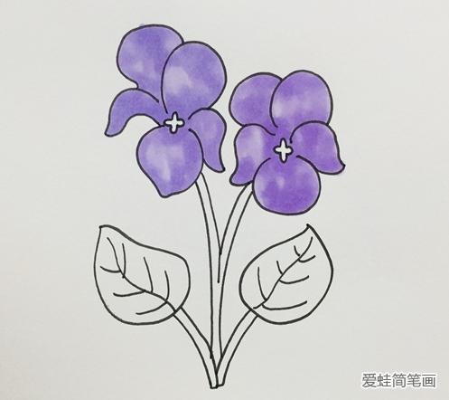 紫罗兰怎么叶插，紫罗兰怎样用叶子扦插？-第4张图片-优品飞百科
