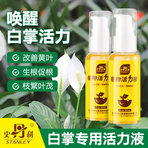 白掌施肥施什么肥料，白掌施肥施什么肥料好呢-第2张图片-优品飞百科