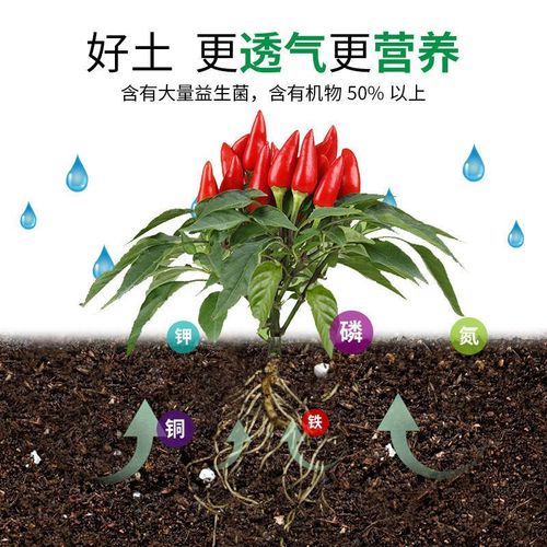 白掌施肥施什么肥料，白掌施肥施什么肥料好呢-第3张图片-优品飞百科