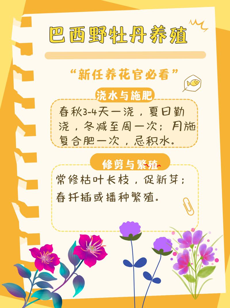 多花野牡丹种子怎么种，多花野牡丹的功效-第6张图片-优品飞百科