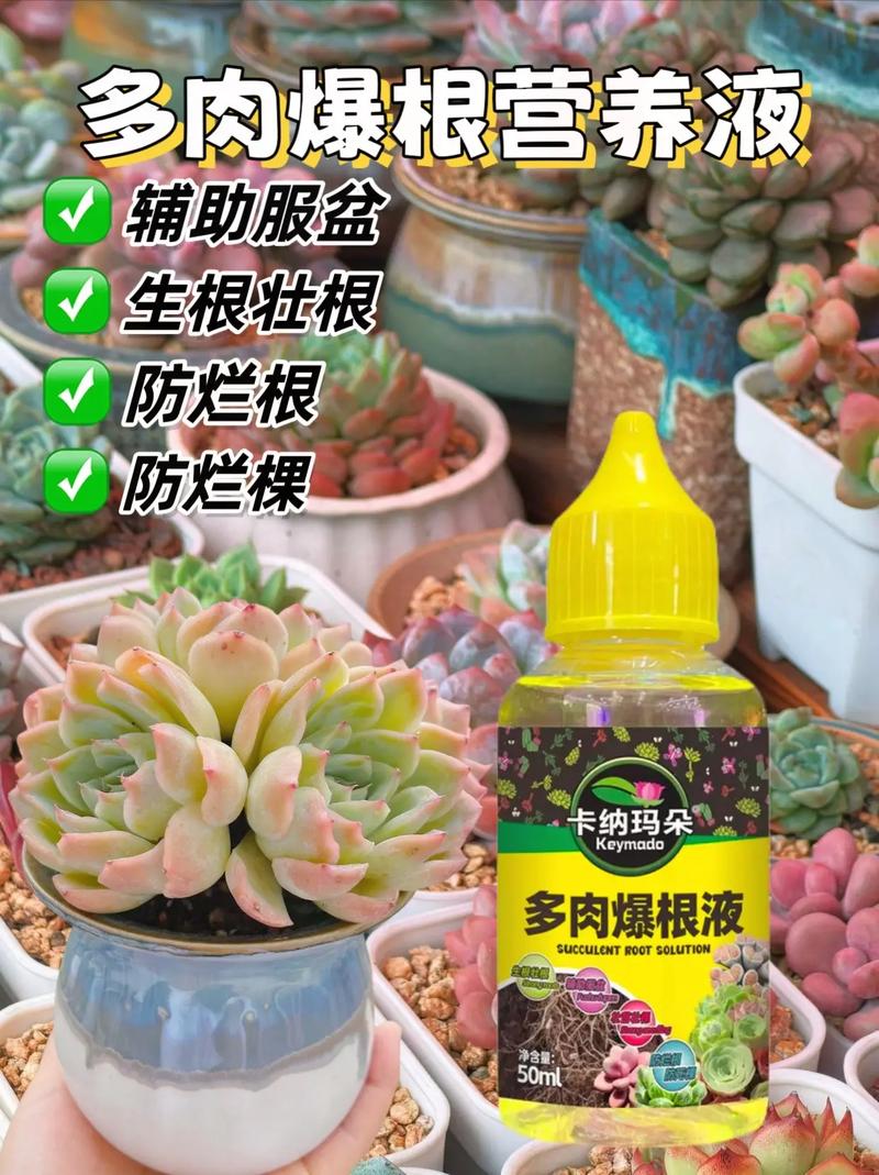 多肉能用营养液喷雾吗，多肉能用营养液喷雾吗怎么喷