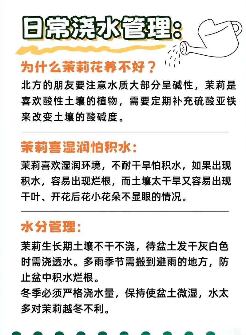 法国茉莉怎么养，法国茉莉的修剪方法？-第2张图片-优品飞百科