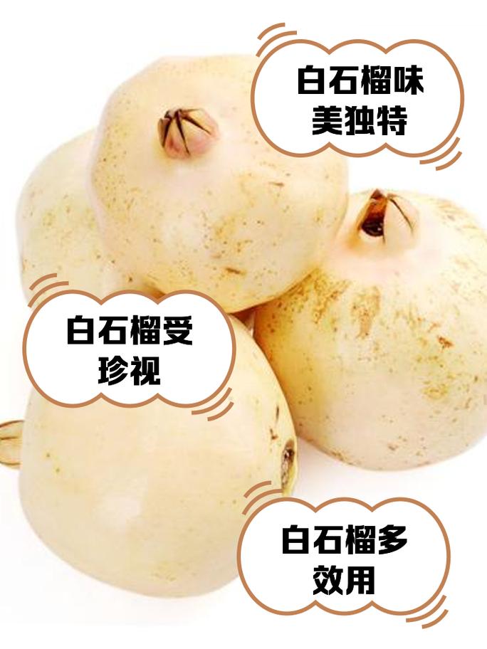 吃剩下的“石榴籽”可别扔，石榴吃剩下的种子可以种吗?-第5张图片-优品飞百科