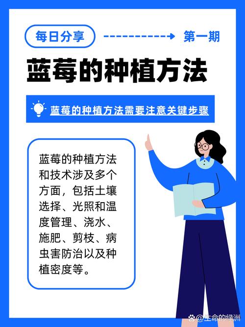 蓝莓种植方法，蓝莓种植方法和时间-第2张图片-优品飞百科