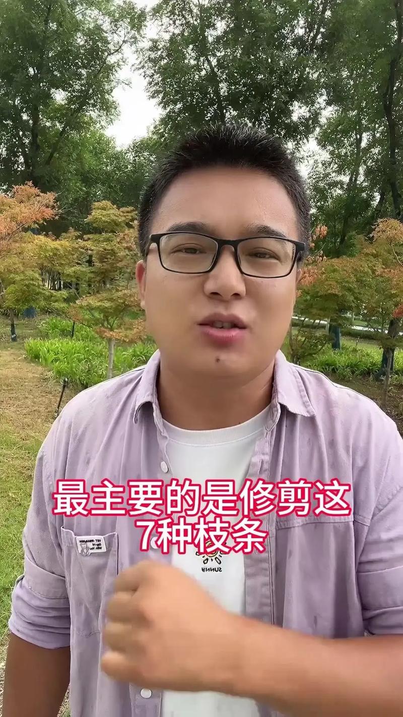短枝富士如何修剪，短枝富士如何修剪好看？-第3张图片-优品飞百科