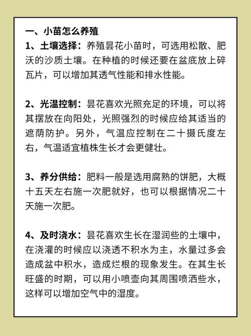 昙花种子怎么种，昙花种子怎么种植方法？