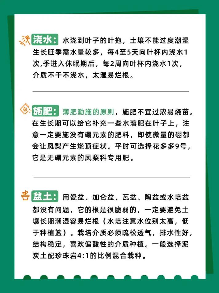 观赏凤梨不会繁殖？凤梨怎么繁殖后代？