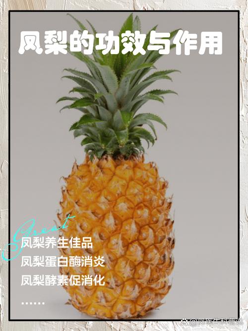 观赏凤梨不会繁殖？凤梨怎么繁殖后代？-第4张图片-优品飞百科