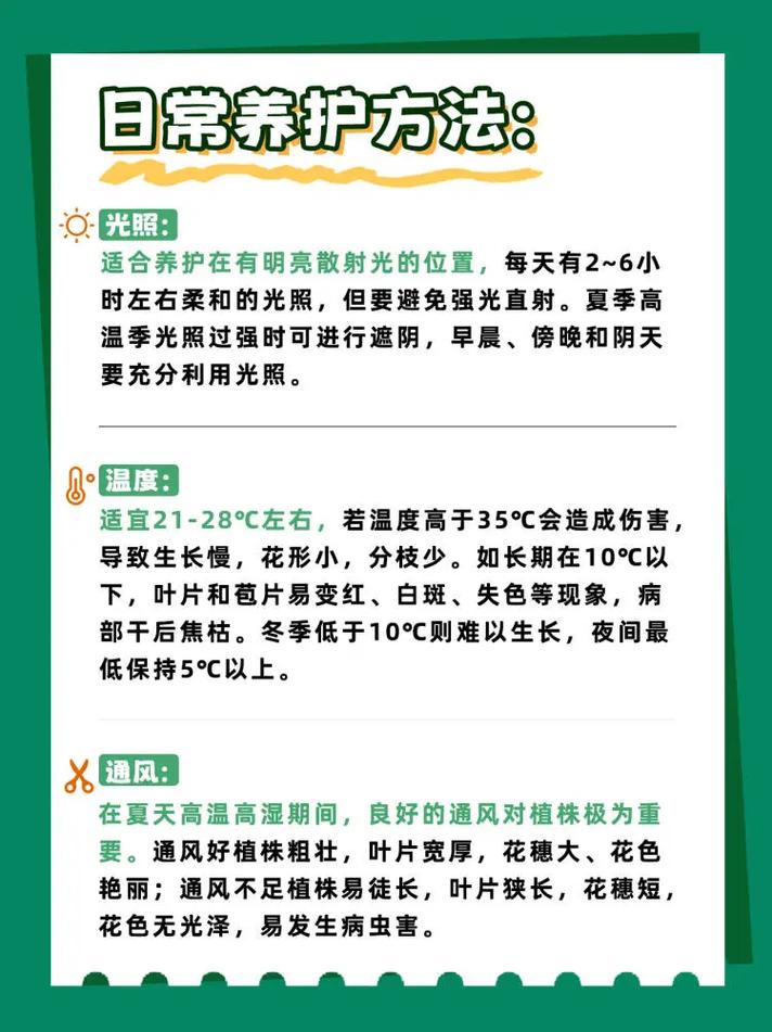 观赏凤梨不会繁殖？凤梨怎么繁殖后代？-第5张图片-优品飞百科