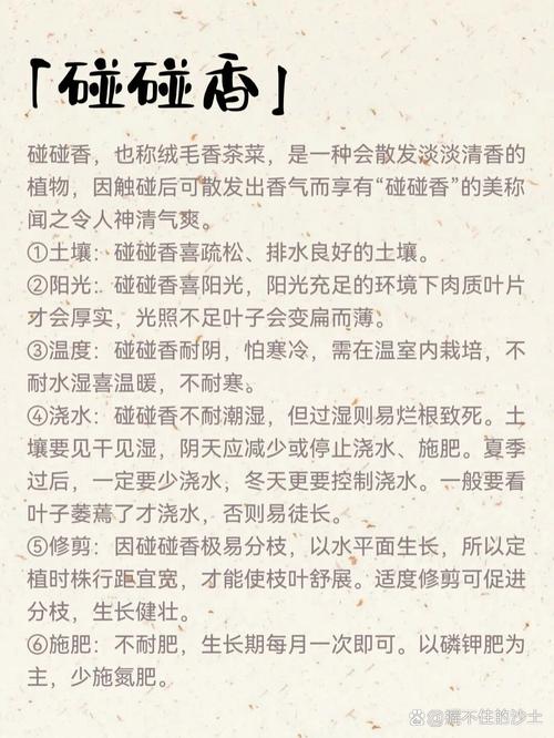 碰碰香冬天能扦插吗？碰碰香冬天好养吗？-第7张图片-优品飞百科