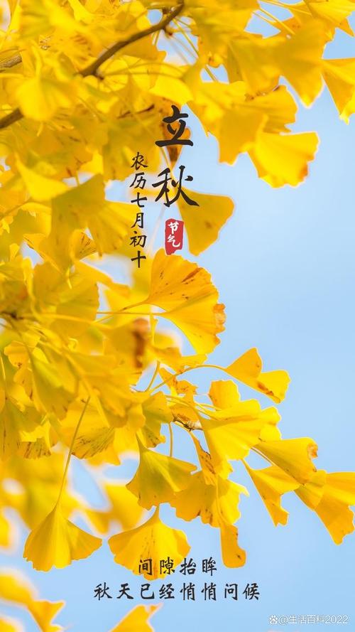 立秋这么晒太阳，秋天如何晒太阳补阳气？-第5张图片-优品飞百科