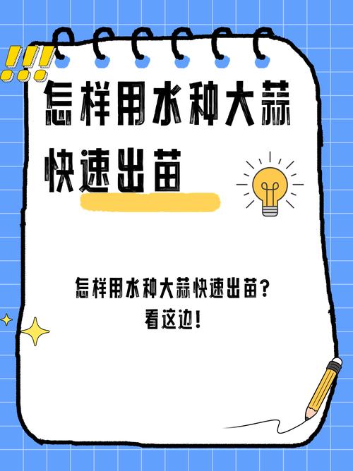 水种蒜苗的正确过程，怎么用水种蒜苗视频-第3张图片-优品飞百科