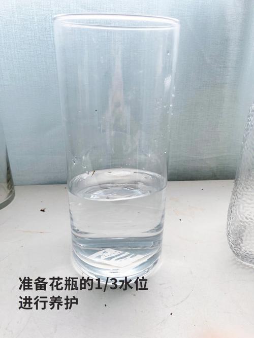 康乃馨怎么水养？康乃馨怎么水养生根？