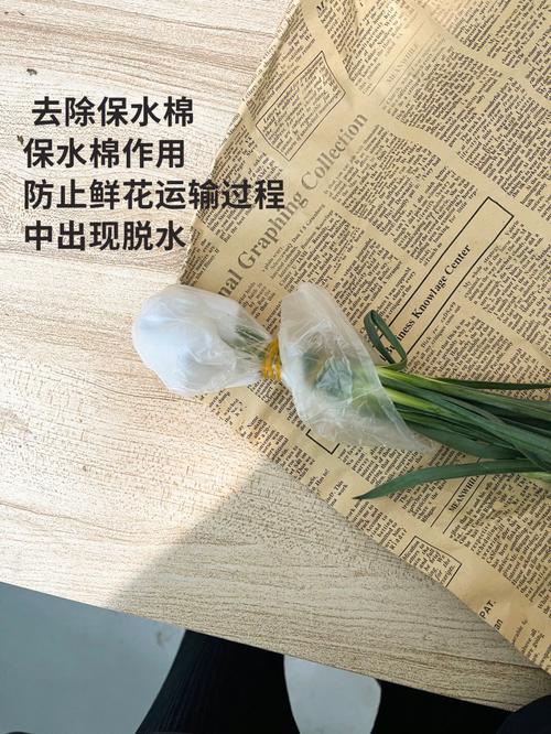 康乃馨怎么水养？康乃馨怎么水养生根？-第5张图片-优品飞百科
