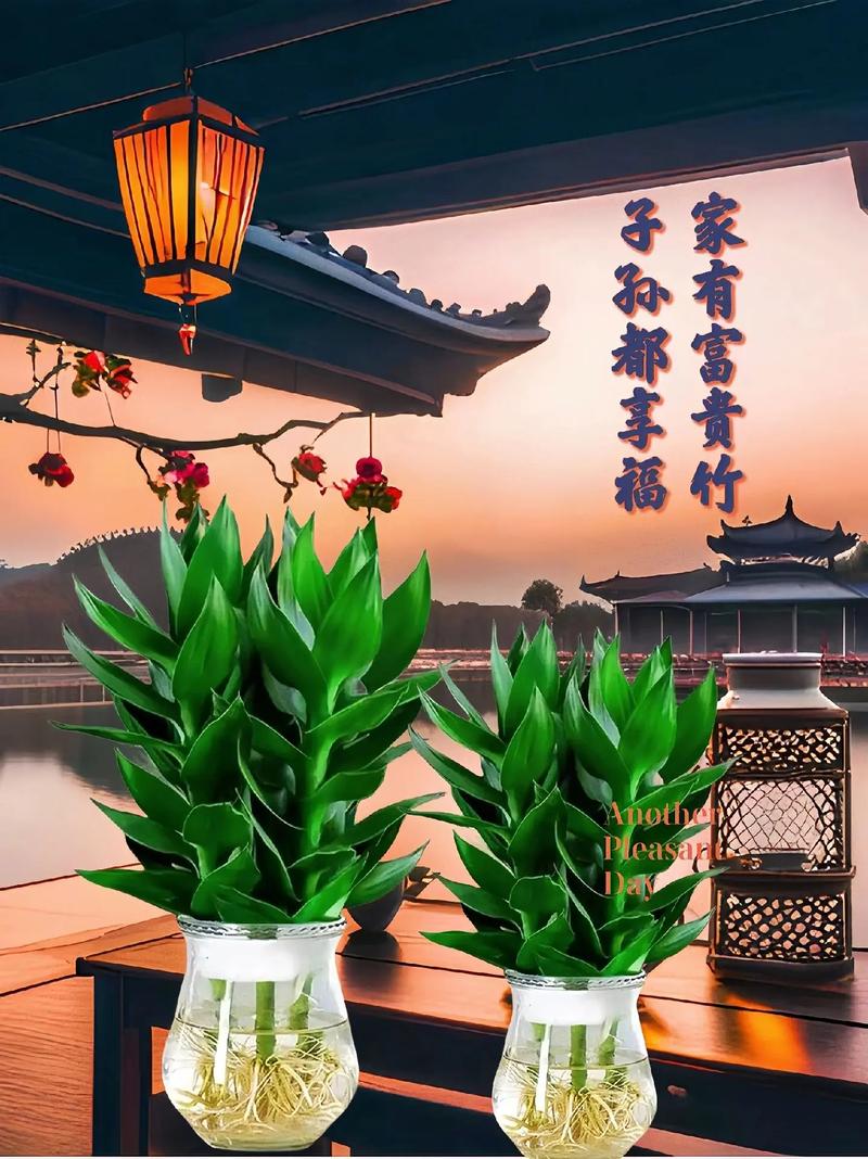 观音竹开花吗，观音竹开花吗图片欣赏-第4张图片-优品飞百科