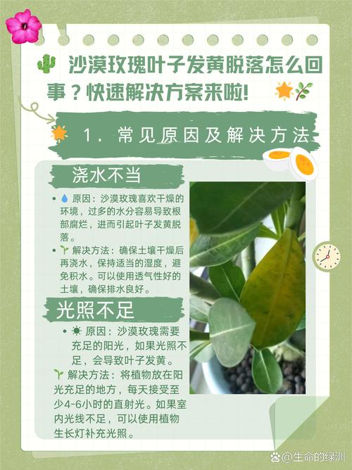沙漠玫瑰怎么养才开花，沙漠玫瑰怎么养才开花百度百科-第6张图片-优品飞百科