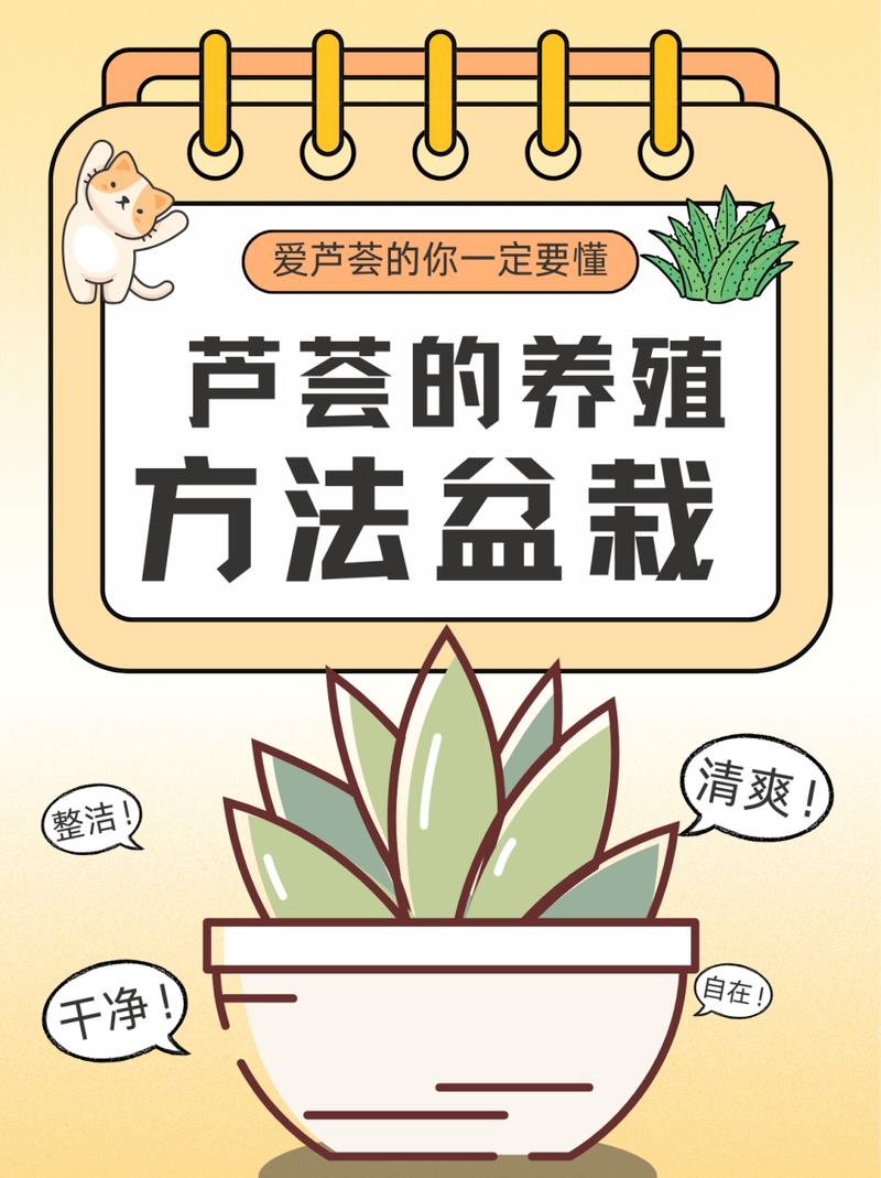 芦荟怎么养长得好？芦荟怎么养长得好看？