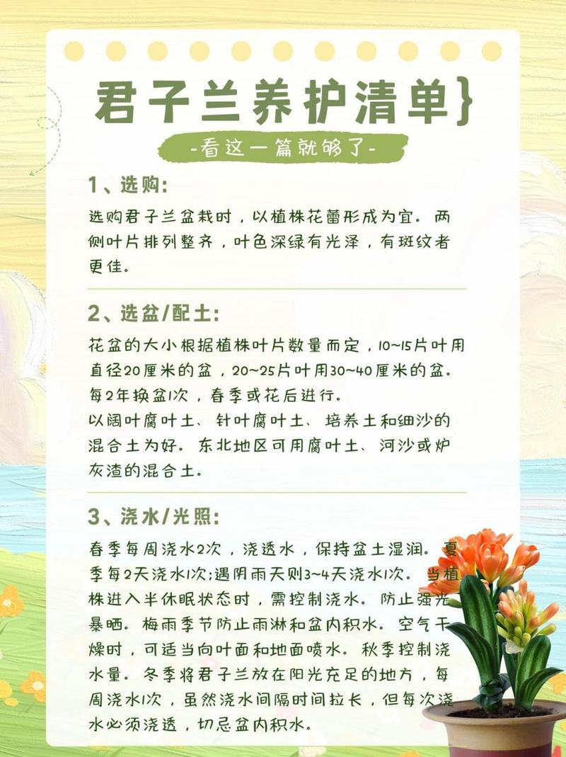 君子兰秋天这样养？君子兰秋天养殖方法和注意事项？-第6张图片-优品飞百科