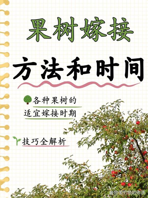 梨树可以嫁接什么树，梨树可以嫁接什么树木？
